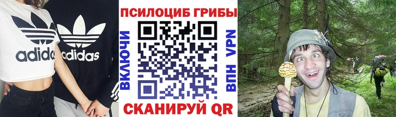 мега зеркало  Иваново  Галлюциногенные грибы Magic Shrooms 