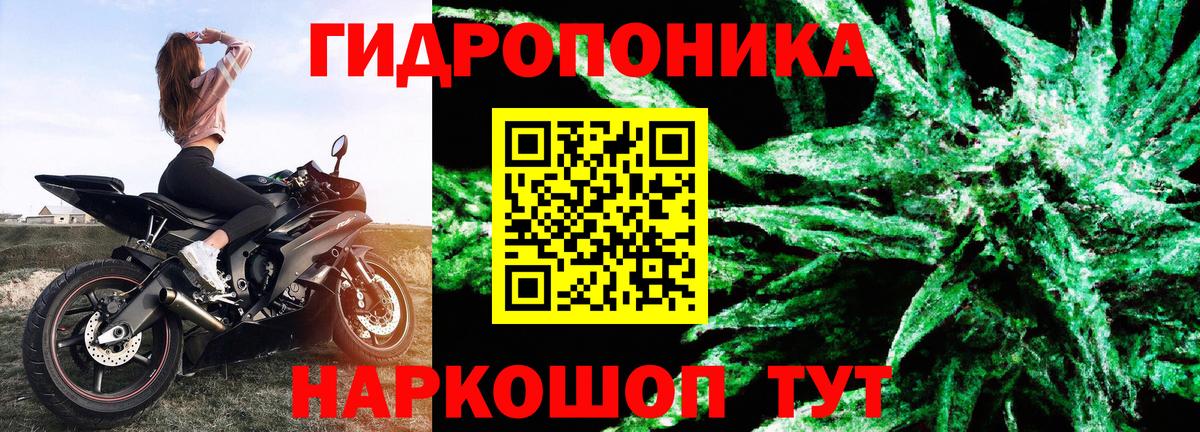 Каннабис SATIVA & INDICA Иваново